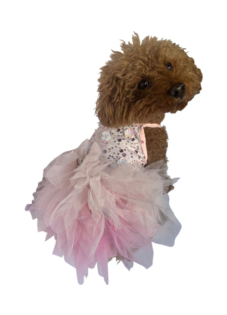 "I’m Gorgeous!" Ombre Tutu Dress