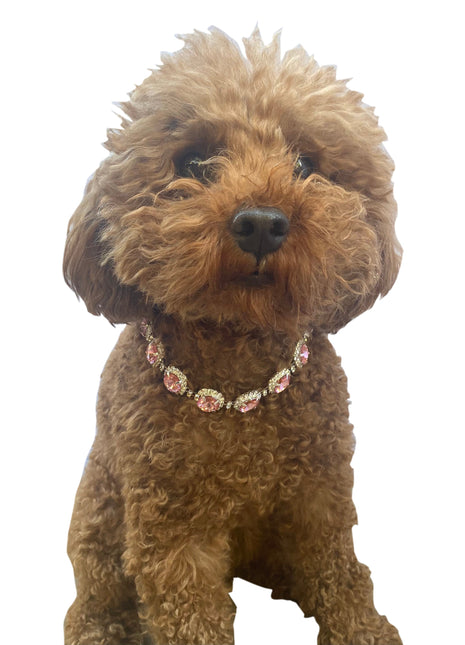 Pink Crystal Rhinestone Dog Necklace