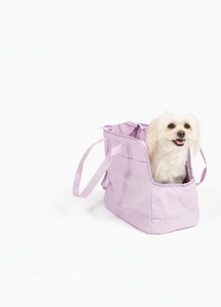 Come Here Buddy Pet Tote Bag