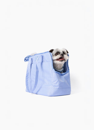 Come Here Buddy Pet Tote Bag