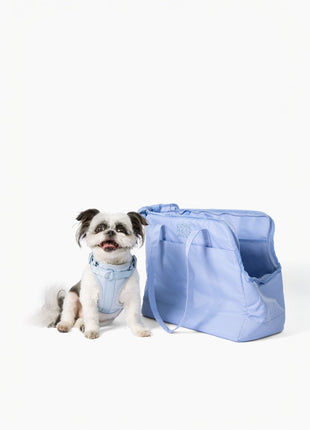 Come Here Buddy Pet Tote Bag