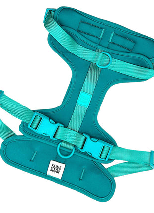 Harness - Pup List