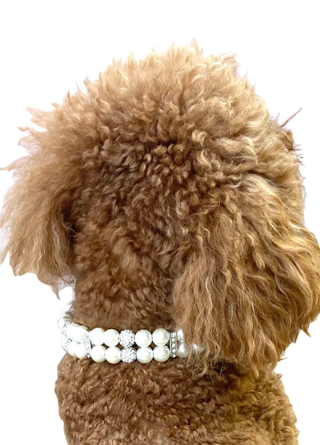 Sparkle & Pearl Dog Collar, Ivory