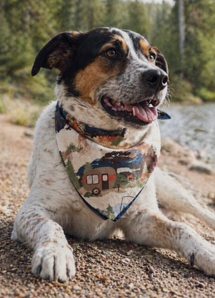 Camping Dog Bandana