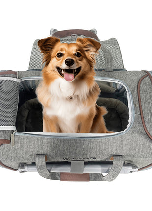 Mr. Peanut's Gold Series Standard Size Airline Compliant Expandable Pet Carrier V3.0