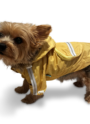 Pocket Raincoat Pastel