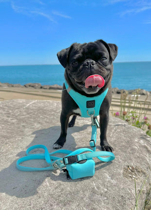 Poop Bag Holder - Fifth Avenue