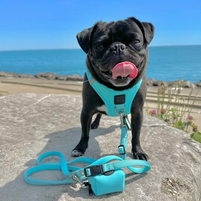 Poop Bag Holder - Fifth Avenue