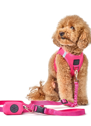 Poop Bag Holder - Park Ave Pink