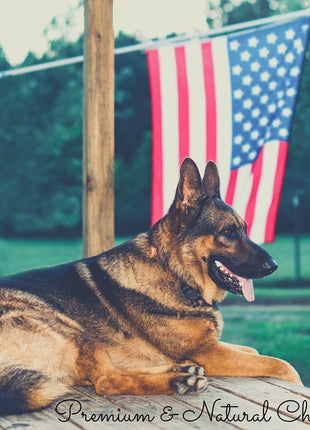 6" Beef Gullet Sticks 8oz (25-Pack)