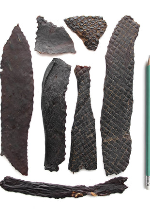 Super Foods Porky Liver Fillets 6oz