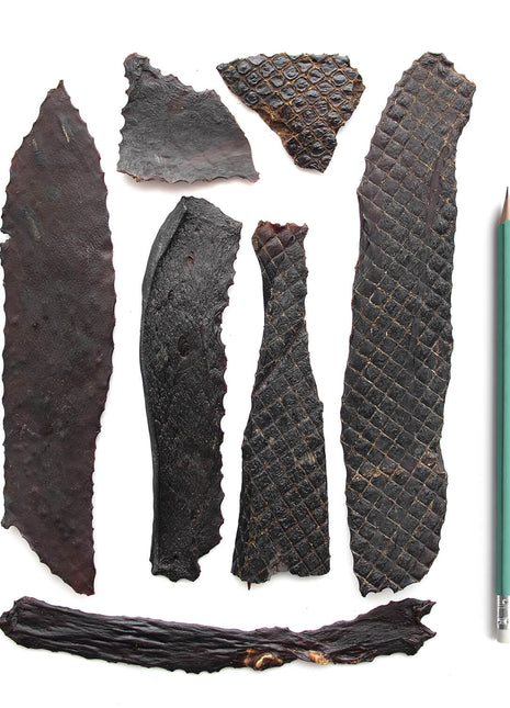 Super Foods Porky Liver Fillets 6oz