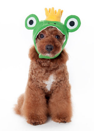 Frog Hat