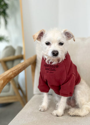 Terry Pullover