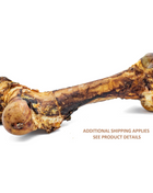 Monster Femur Bone