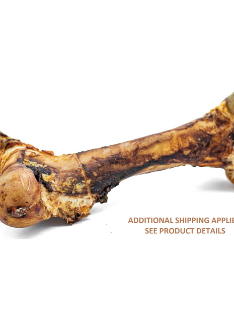 Monster Femur Bone