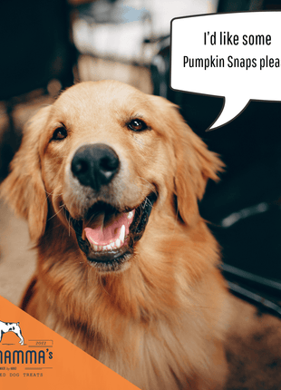 Dog Mamma's Organic Pumpkin Snaps Recipe- USDA Organic Certified Dog Treats