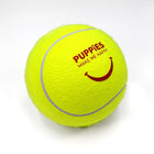 Fitness Big Tennis Ball