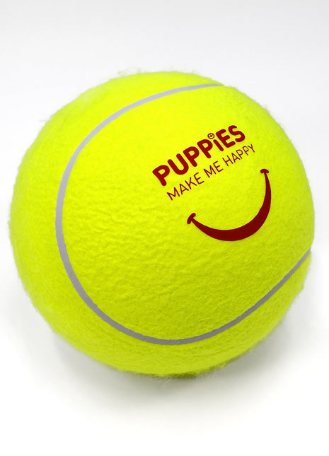 Fitness Big Tennis Ball