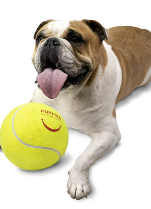 Fitness Big Tennis Ball