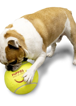 Fitness Big Tennis Ball