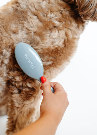 Gentle Detangling Brush