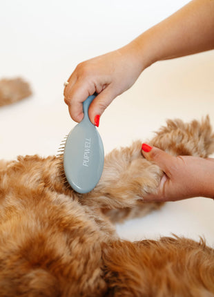 Gentle Detangling Brush