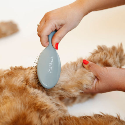 Gentle Detangling Brush