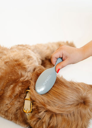 Gentle Detangling Brush