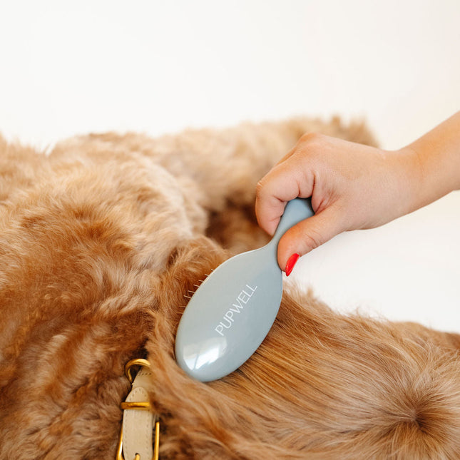 Gentle Detangling Brush