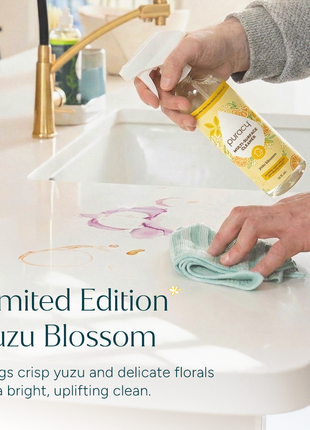Everyday Multi-Surface Cleaner - Pup List