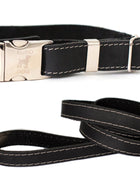 Quick-Release Style Leather Collar and Leash Set