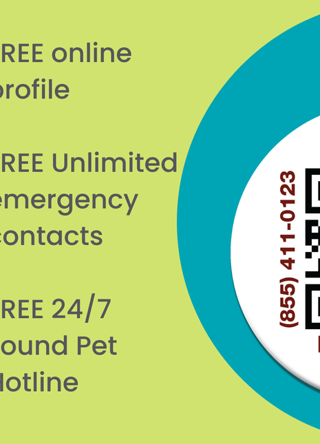 QR Pet Identification: Travel Crate Card