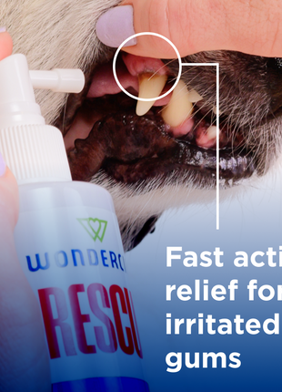RESCUE™ Oral Spray for Dogs & Cats