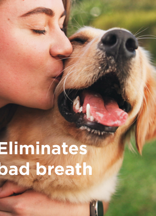 RESCUE™ Oral Spray for Dogs & Cats