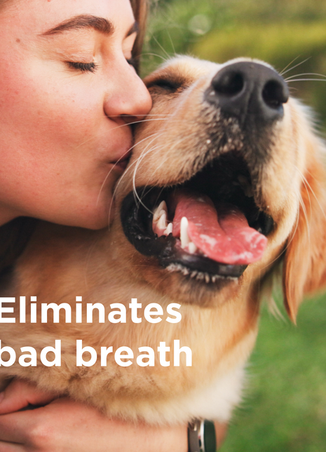 RESCUEβ’ Oral Spray for Dogs & Cats