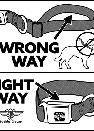 PEANUTS Title Logo Full Color Black/White Seatbelt Buckle Collar - Peanuts Snoopy and Woodstock Poses Scattered Red