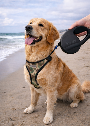Parisian Pet 'Retractable Leash M' for Dogs & Cats – Stylish 16-Foot Retractable Dog Leash with Ergonomic Handle, Black