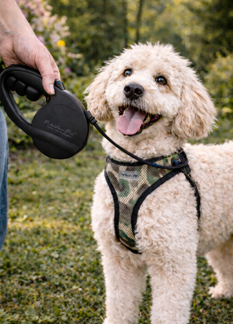 Parisian Pet 'Retractable Leash M' for Dogs & Cats – Stylish 16-Foot Retractable Dog Leash with Ergonomic Handle, Black