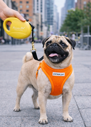 Parisian Pet 'Retractable Leash M' for Dogs & Cats – 16-Foot Durable Leash for Dogs Up to 44 lbs, Yellow