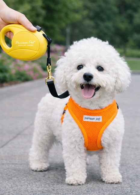 Parisian Pet 'Retractable Leash M' for Dogs & Cats – 16-Foot Durable Leash for Dogs Up to 44 lbs, Yellow