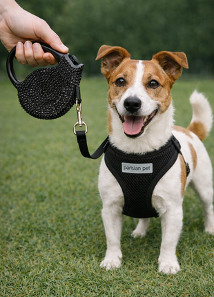 Parisian Pet 'Crystal Retractable Leash Black' for Dogs & Cats – Comfortable 16-Foot Leash, Retractable Design - Pup List