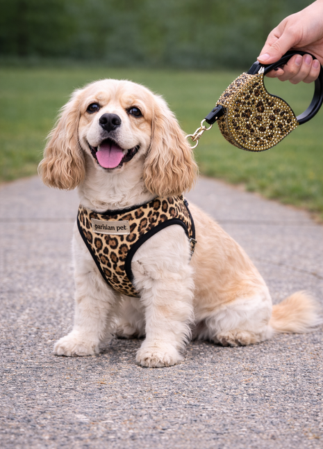 Parisian Pet 'Crystal Retractable Leash Leopard' for Dogs & Cats – Strong, Stylish Leash for Small Dogs, 16-Foot Length