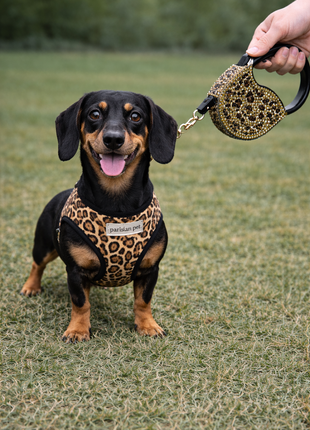 Parisian Pet 'Crystal Retractable Leash Leopard' for Dogs & Cats – Strong, Stylish Leash for Small Dogs, 16-Foot Length - Pup List