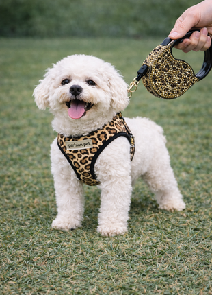 Parisian Pet 'Crystal Retractable Leash Leopard' for Dogs & Cats – Strong, Stylish Leash for Small Dogs, 16-Foot Length - Pup List