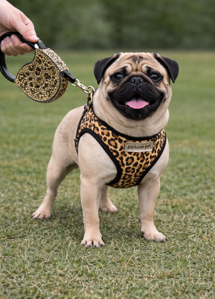 Parisian Pet 'Crystal Retractable Leash Leopard' for Dogs & Cats – Strong, Stylish Leash for Small Dogs, 16-Foot Length - Pup List