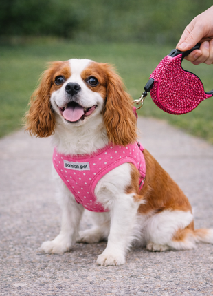 Parisian Pet 'Crystal Retractable Leash Dark Pink' for Dogs & Cats – Durable, Stylish 16-Foot Leash with Ergonomic Handle - Pup List