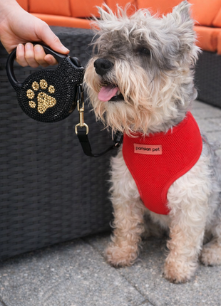 Parisian Pet 'Crystal Retractable Leash Golden Paw' for Dogs & Cats – Comfortable Pet Leash with Ergonomic Handle