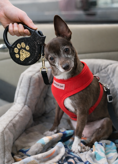 Parisian Pet 'Crystal Retractable Leash Golden Paw' for Dogs & Cats – Comfortable Pet Leash with Ergonomic Handle