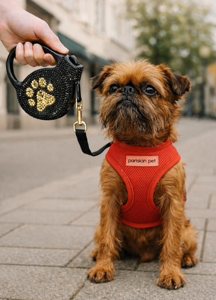 Parisian Pet 'Crystal Retractable Leash Golden Paw' for Dogs & Cats – Comfortable Pet Leash with Ergonomic Handle